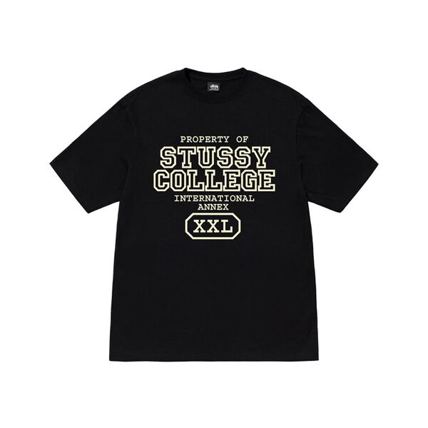 Propriété DE Stussy T Shirt Propriété DE Stussy T Shirt