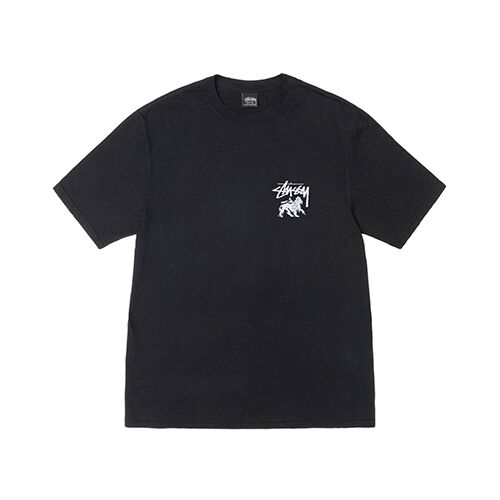 Stussy Rasta Lion T Shirt Stussy Rasta Lion T Shirt